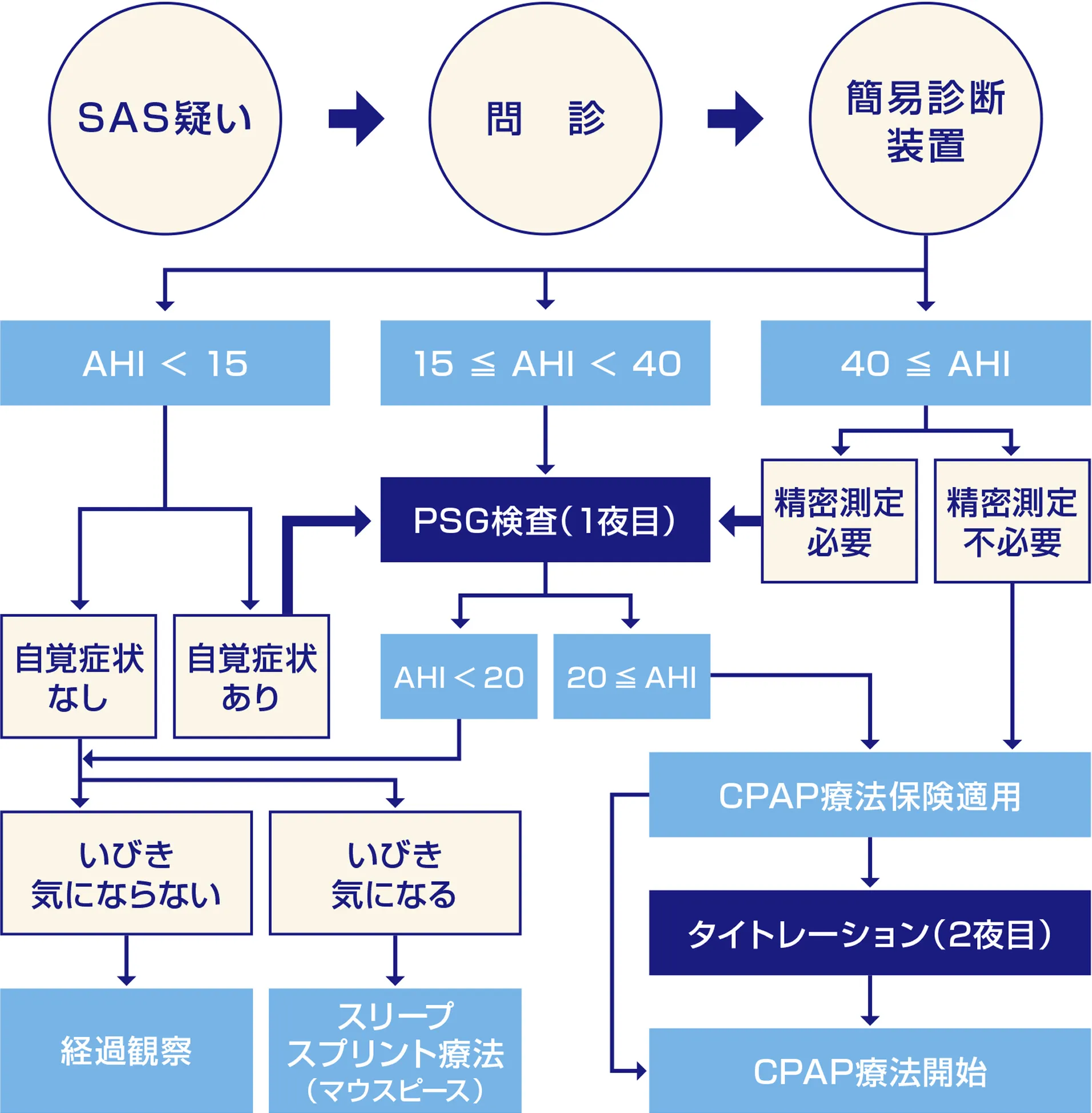 SAS検査の流れ（一例）